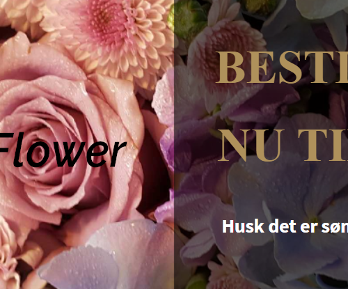 Mors dag