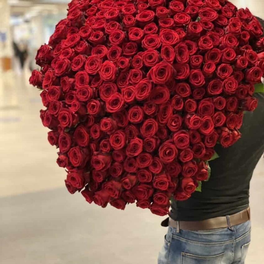 Send blomster, Bestil blomster. levering af blomster, udbringe af blomster, købt en buket, bestil en buket. Send buket, Bestil buket, Levering af buket, Fødsel og barsel buket, Bryllup buket, Fødselsdag buket, Held og lykke buket, Tak for sidst buket, God bedring buket, Jubilæum buket, Kondolence buket, levering samme dag, levering i dag, send blomster i dag, bestil blomster i dag. send blomster online, send blomster billigt, billigere buketter, Blomster levering i dag, Blomster levering i søndag, Bedste blomster levering, buket online , online blomster, tilykke buket, fødselsdag buket, røde roser buket, mor og barn buket, valentinsdag buket, kærlighed buket,